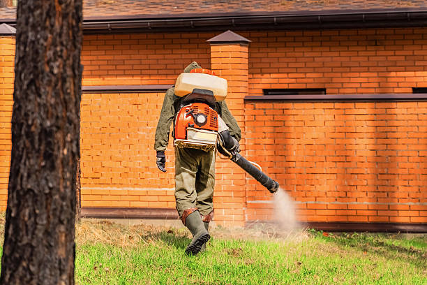 Trusted Rodent Control service in Gold Hill, OR - Nex Pest Control
